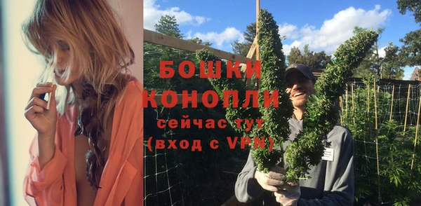 PSILOCYBIN Баксан