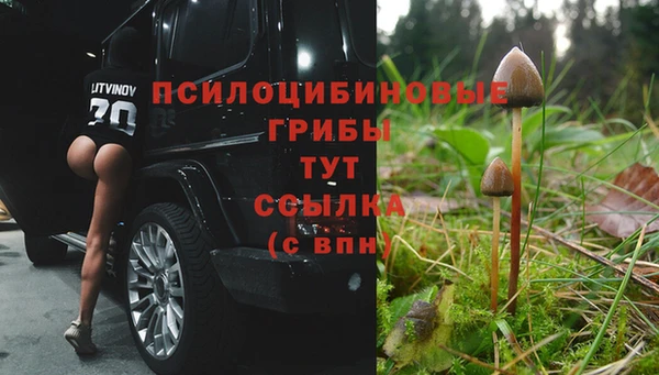mdpv Балабаново