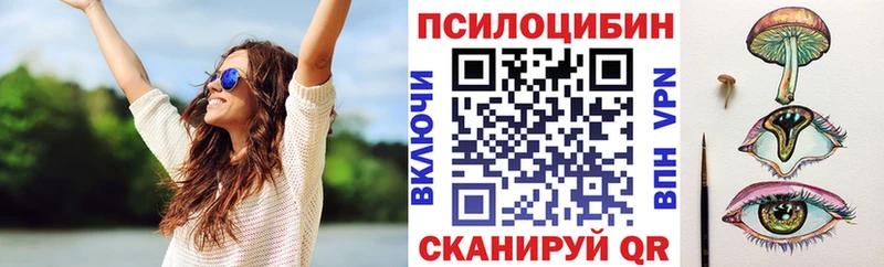 Галлюциногенные грибы мицелий  цена наркотик  Никольское 